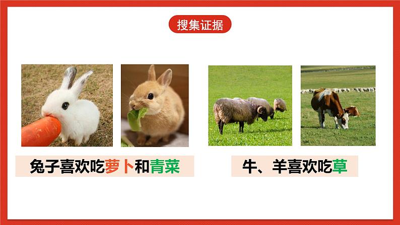 大象版科学五年级下册 准备单元4.2《动物的食物》课件07