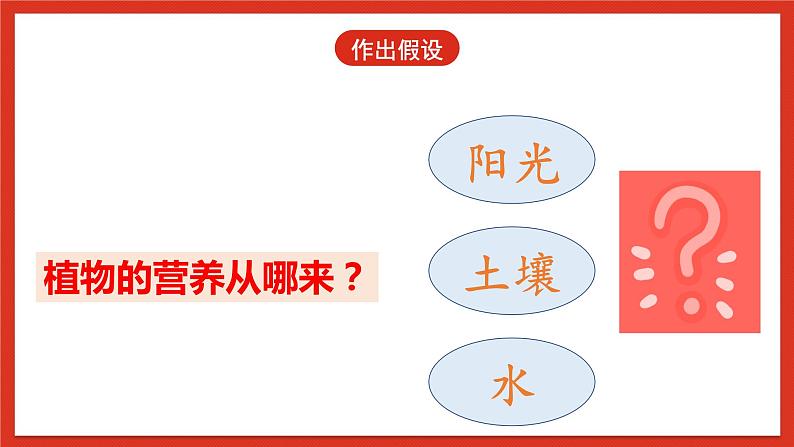 大象版科学五年级下册 准备单元4.3《植物的食物》课件06