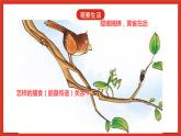 大象版科学五年级下册 准备单元4.4《食物链》课件
