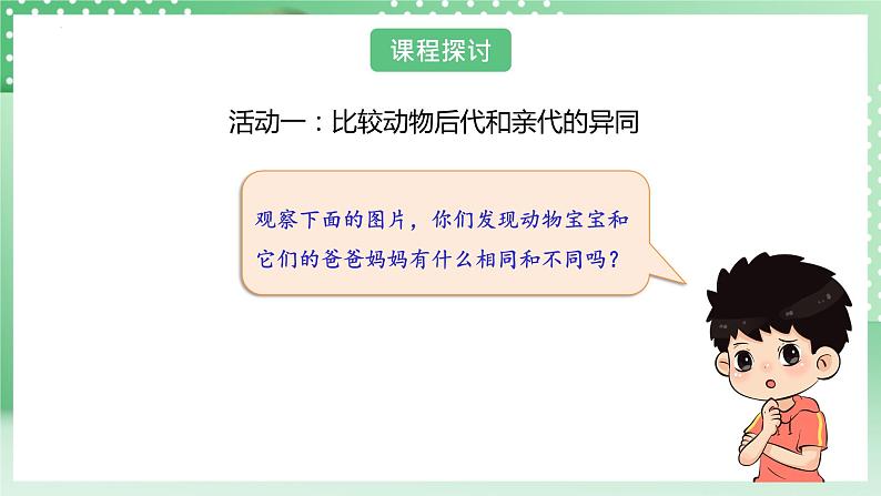 教科版科学六年级下册2.4《多种多样的动物》课件+探究记录单+微课06