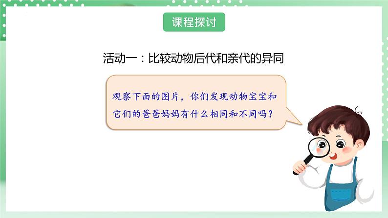 教科版科学六年级下册2.4《多种多样的动物》课件+探究记录单+微课07