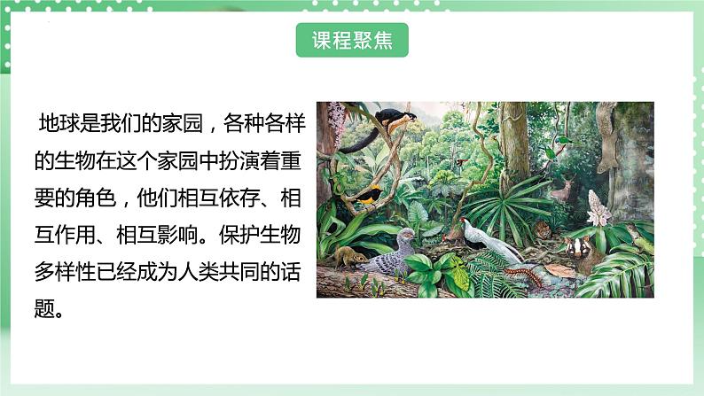 教科版科学六年级下册2.7《保护生物多样性》课件+探究记录单+微课04