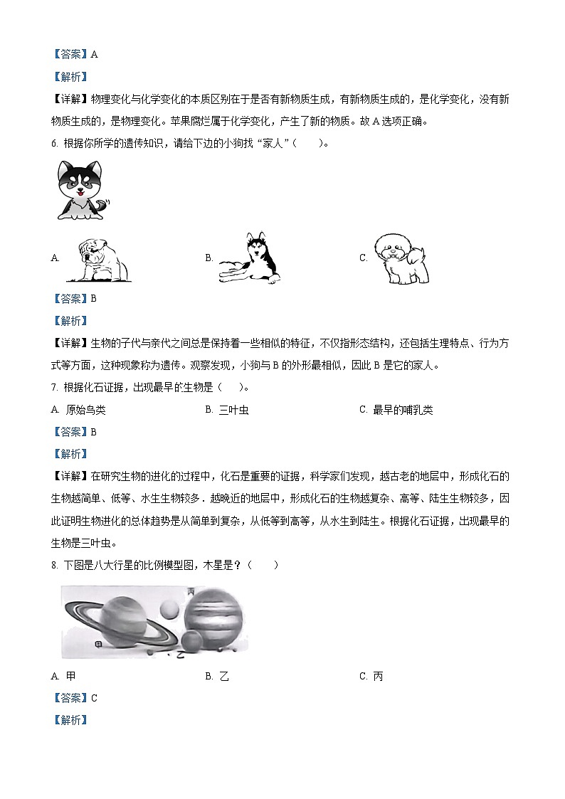 精品解析：2023-2024学年辽宁省沈阳市法库县苏教版六年级上册期末考试科学试卷（解析版）第2页