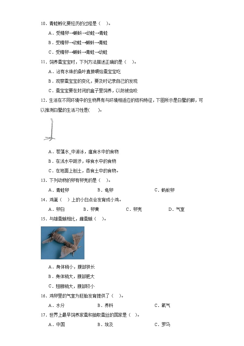 2023-2024教科版科学三年级下册第二单元测试02