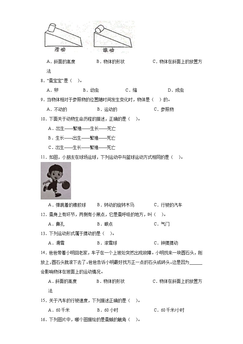 2023-2024教科版科学三年级下册期中测试A第2页