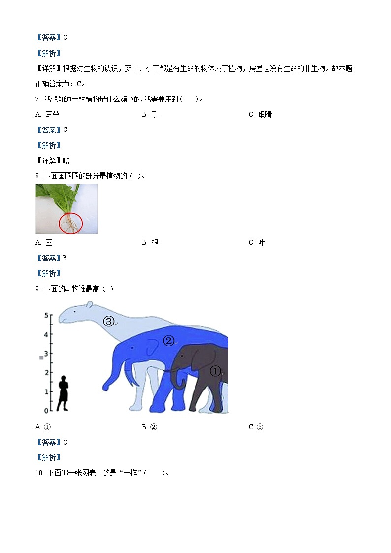 精品解析：2022-2023学年浙江省宁波市鄞州区实验小学教科版一年级上册期末检测科学试卷A（解析版）第2页