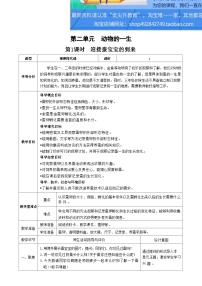 小学科学教科版 (2017)三年级下册1.迎接蚕宝宝的到来第1课时教案设计