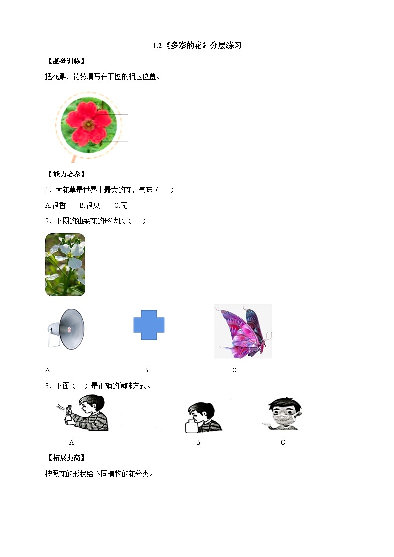 【新课标】1.2《多彩的花》分层练习（含答案）第1页