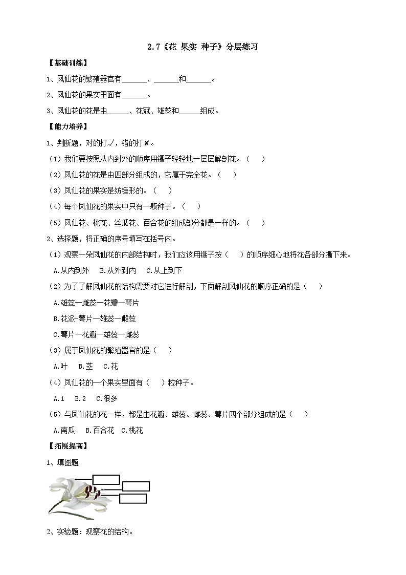 【新课标】2.7《花果实种子》分层练习（含答案）第1页