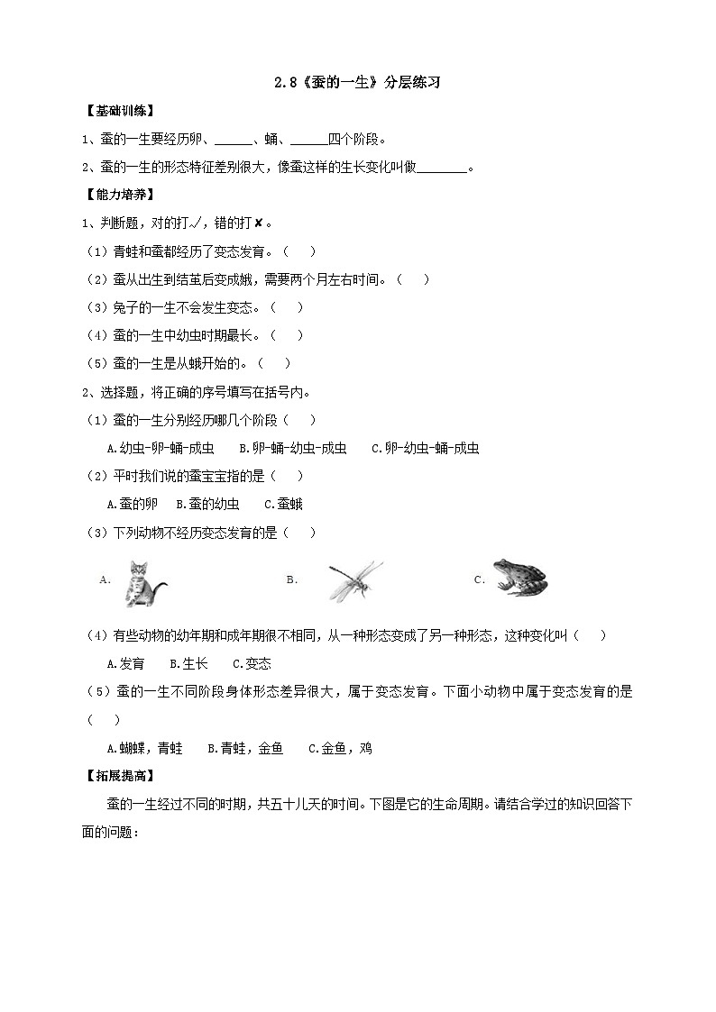 人教鄂教版四下【新课标】2.8《蚕的一生》分层练习（含答案）01