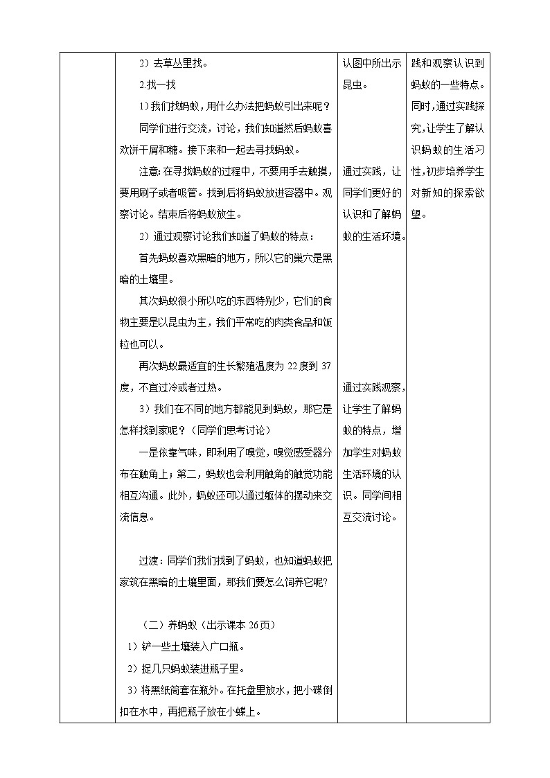 苏教版-科学 二下8 养蚂蚁-教案02