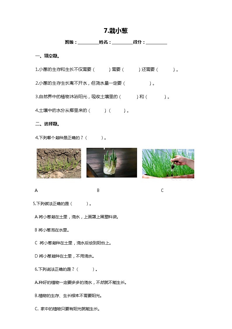 苏教版-科学 二下7栽小葱 试卷01