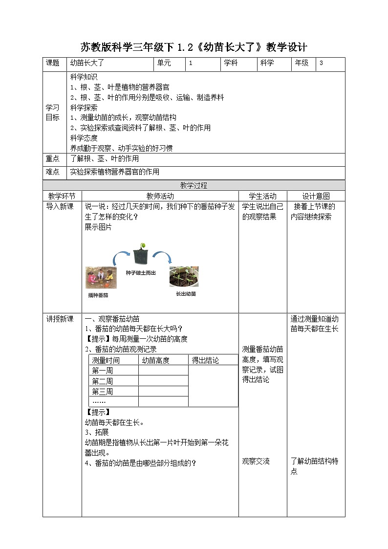 苏教版（2019）科学三年级下1.2《幼苗长大了》教案01