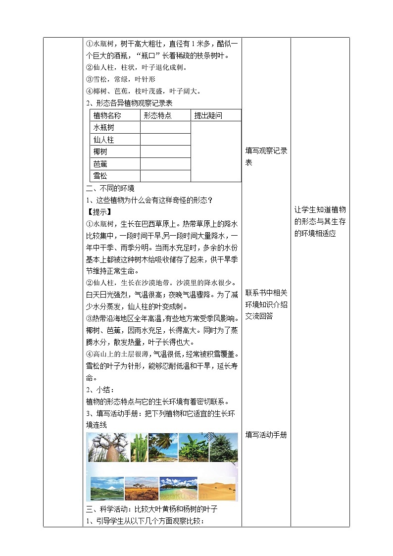 苏教版（2019）科学三年级下2.5《不同环境里的植物》教案02