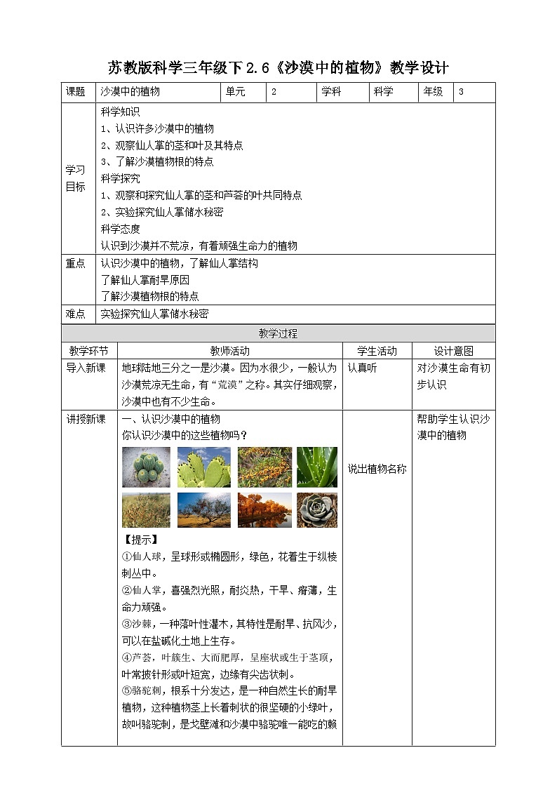 苏教版（2019）科学三年级下2.6《沙漠中的植物》教案01