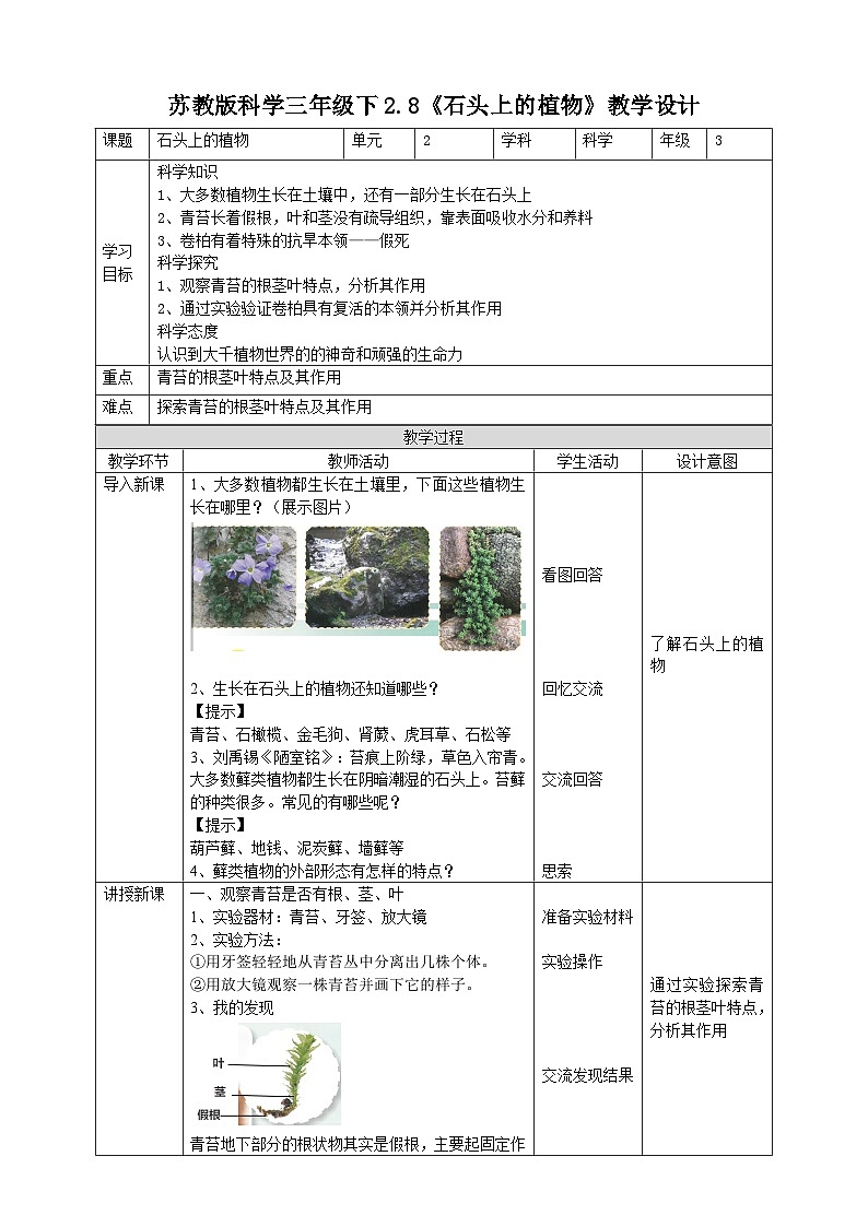 苏教版（2019）科学三年级下2.8《石头上的植物》教案01