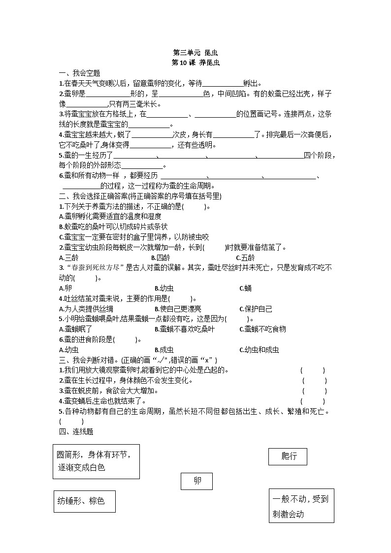 苏教版四年级下册科学第10课 养昆虫  同步练习01