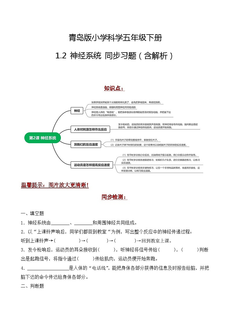 青岛版科学五年级下册1.2《神经系统》课件+教案+练习（含答案）+素材01