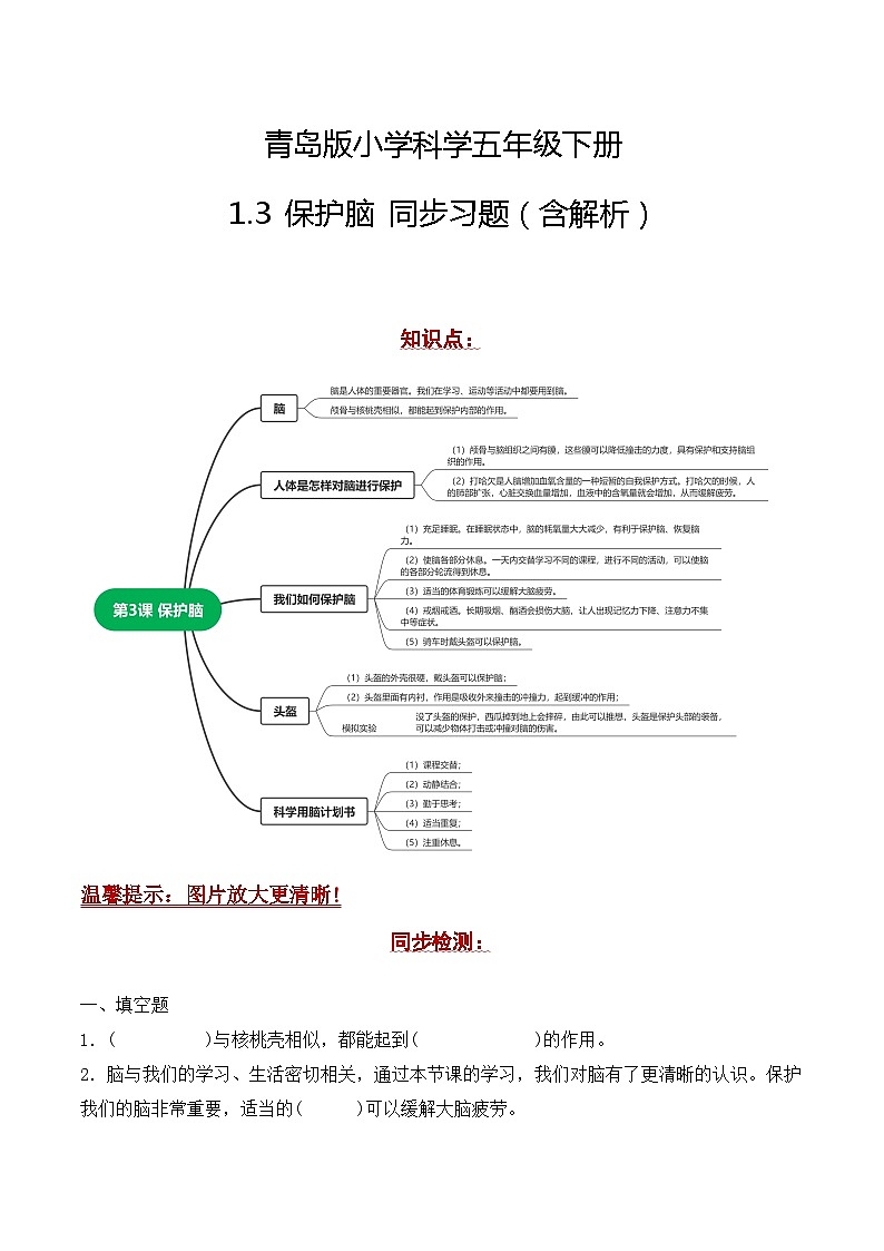 青岛版科学五年级下册1.3《保护脑》课件+教案+练习（含答案）+素材01