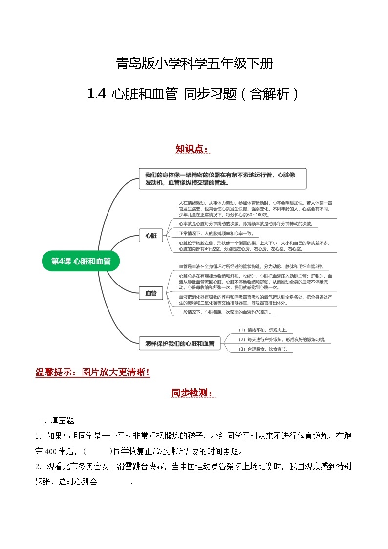 青岛版科学五年级下册1.4《心脏和血管》课件+教案+练习（含答案）+素材01