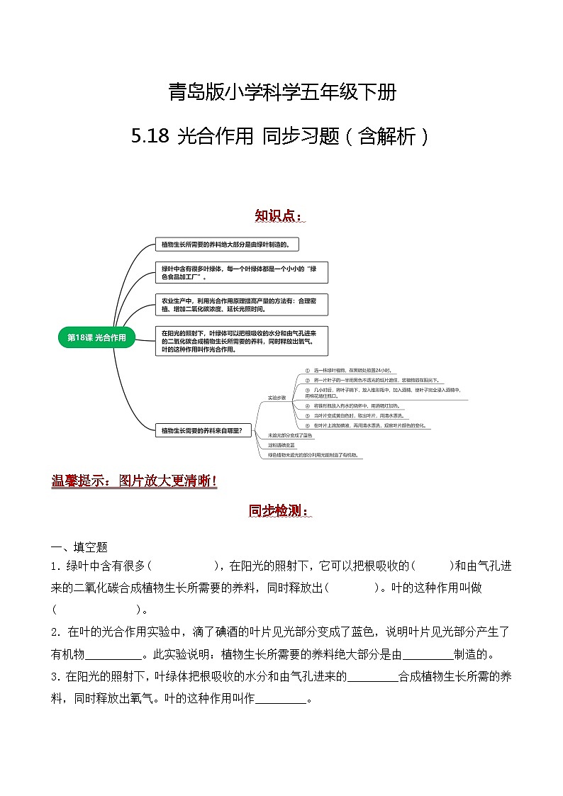青岛版科学五年级下册5.18《光合作用》课件+教案+练习（含答案）+素材01