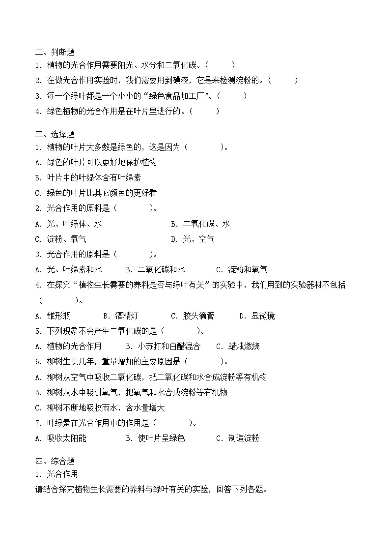 青岛版科学五年级下册5.18《光合作用》课件+教案+练习（含答案）+素材02