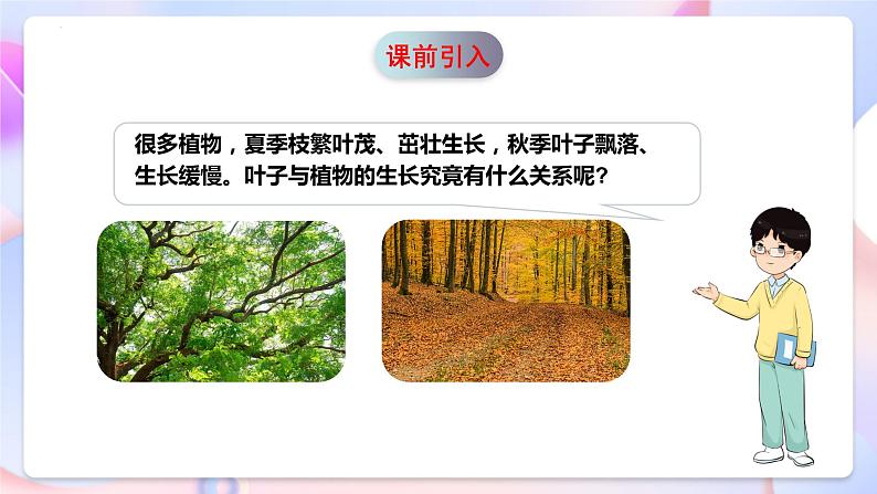 青岛版科学五年级下册5.18《光合作用》课件+教案+练习（含答案）+素材05