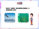 青岛版科学五年级下册5.19《生物的栖息地》课件+教案+练习（含答案）+素材