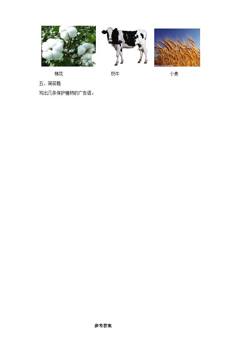 大象版科学二年级下册1.1 荒岛生存同步练习第2页