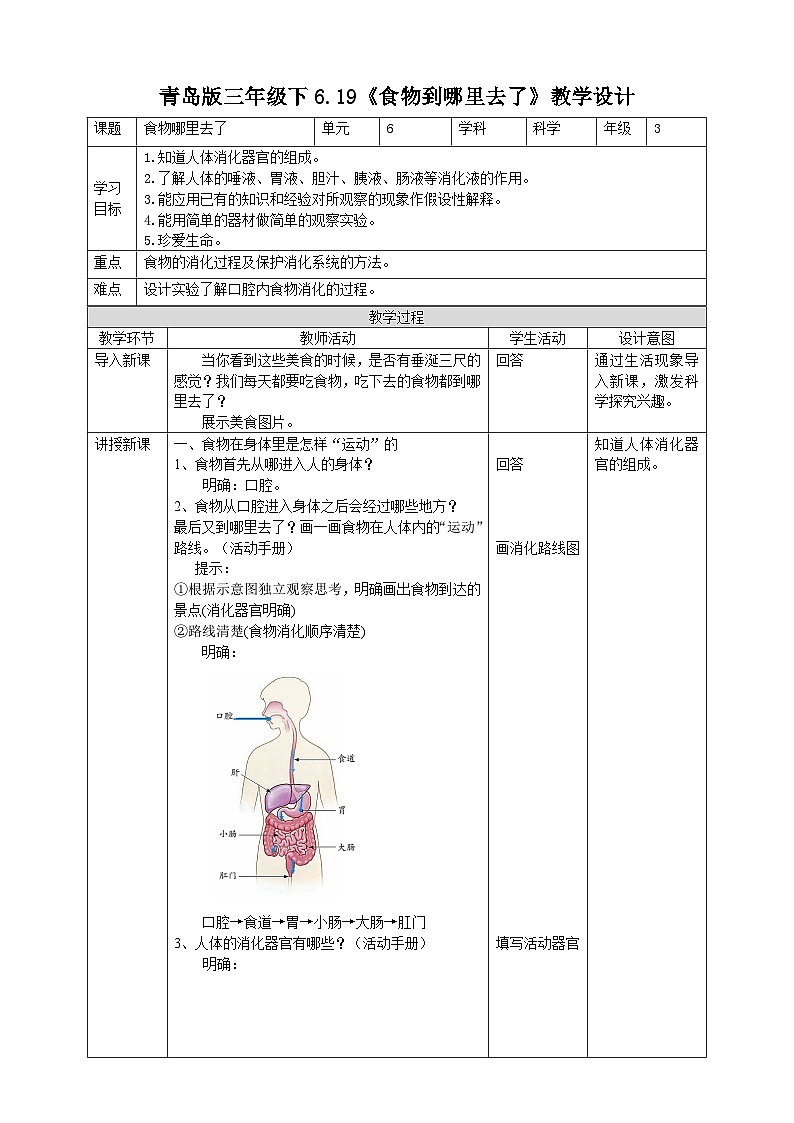 青岛版（六三）三年级科学下册6.19《食物到哪里去了》教案第1页