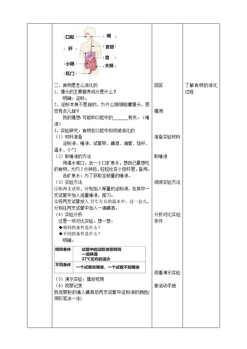 青岛版（六三）三年级科学下册6.19《食物到哪里去了》教案第2页
