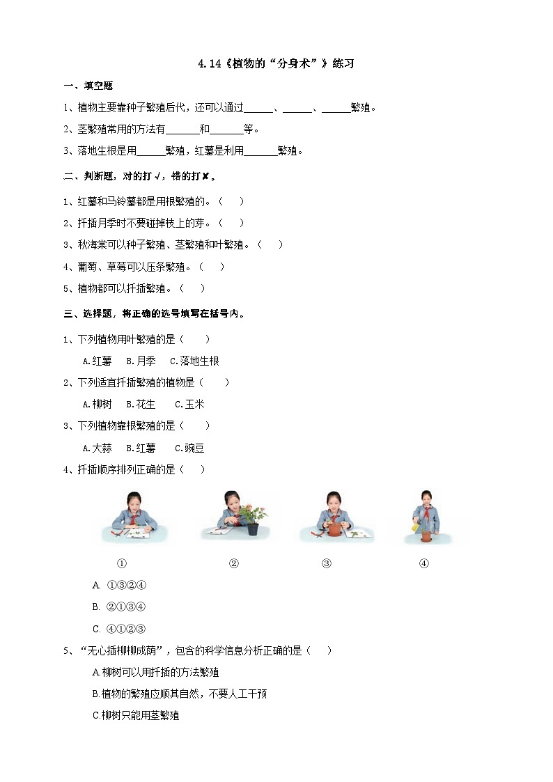青岛版（六三）三年级科学下册4.14《植物的“分身术”》练习（含答案）第1页