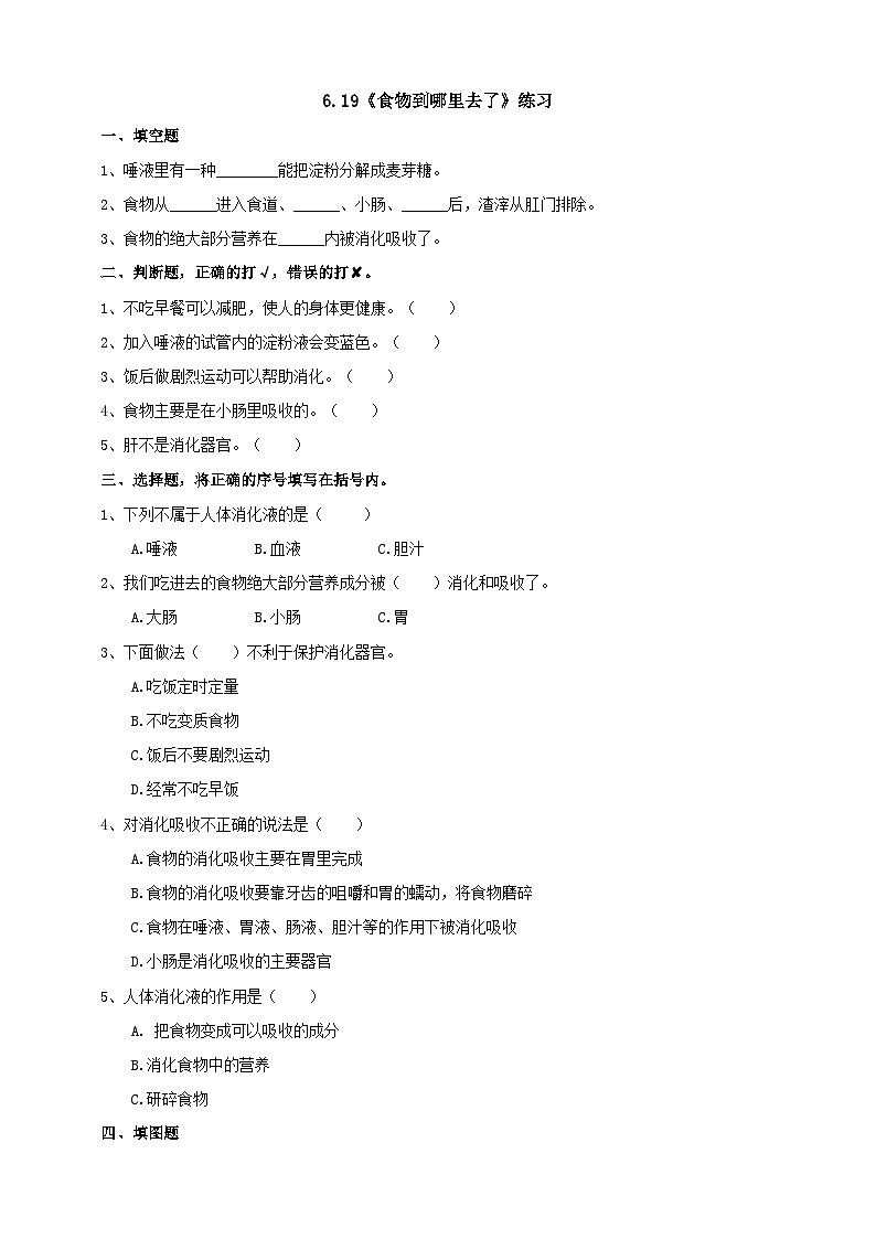 青岛版（六三）三年级科学下册6.19《食物到哪里去了》练习（含答案）第1页