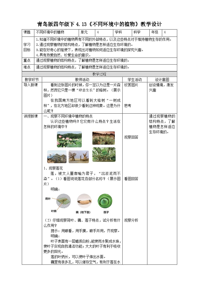 青岛版六三制科学四年级下册4.13《不同环境中的植物》教案01