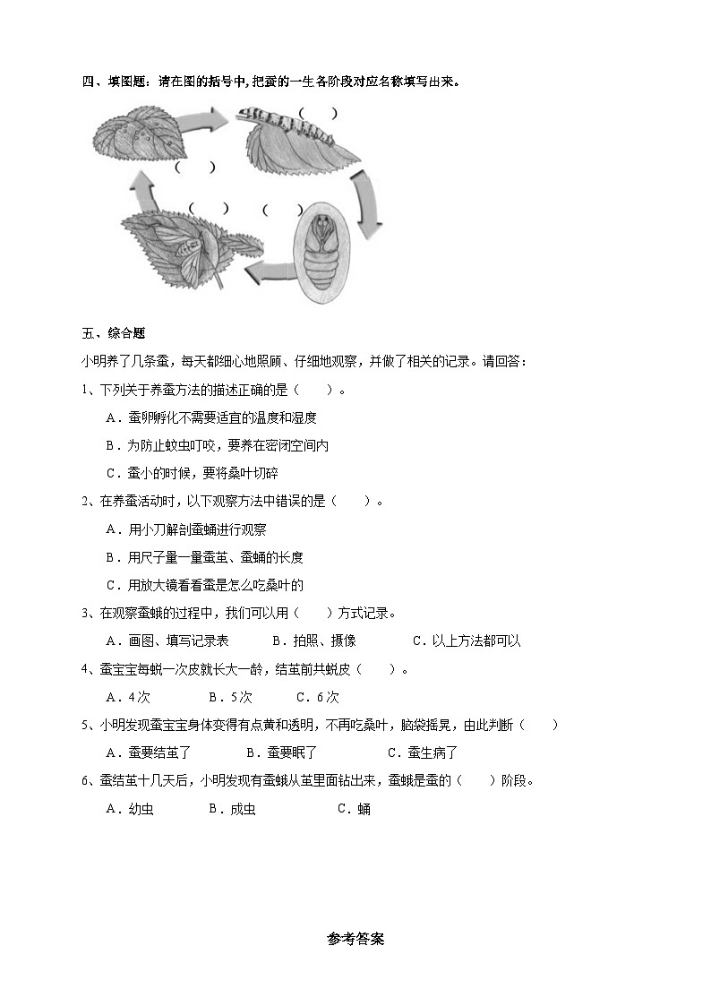 青岛版六三制科学四年级下册5.15《养蚕》练习（含答案）02