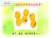 大象版（2017）科學(xué)四年級上冊第一單元第四節(jié)《運動的形式》課件