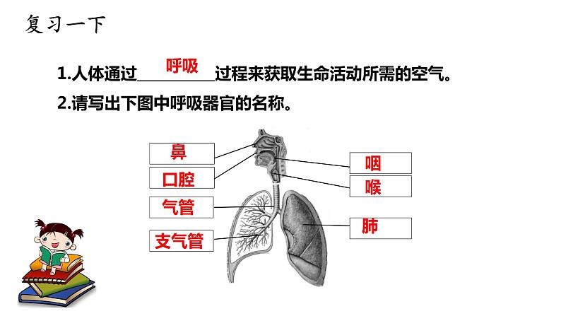 大象版（2017）科学四年级上册第四单元第五节《保护呼吸器官》课件第2页