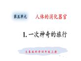 大象版（2017）科学四年级上册第五单元第一节《一次神奇的旅行》课件