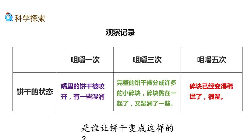 大象版（2017）科学四年级上册第五单元第二节《口腔历险记》课件第6页