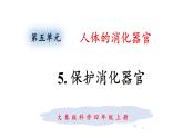 大象版（2017）科学四年级上册第五单元第五节《保护消化器官》课件