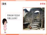 第7课时 种子的传播 课件