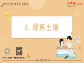 第6课时 观察土壤 课件