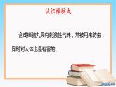 大象版（2017）科学四年级下册第一单元第四节《动物的适应能力》课件