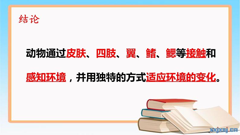 大象版（2017）科学四年级下册第一单元第四节《动物的适应能力》课件08