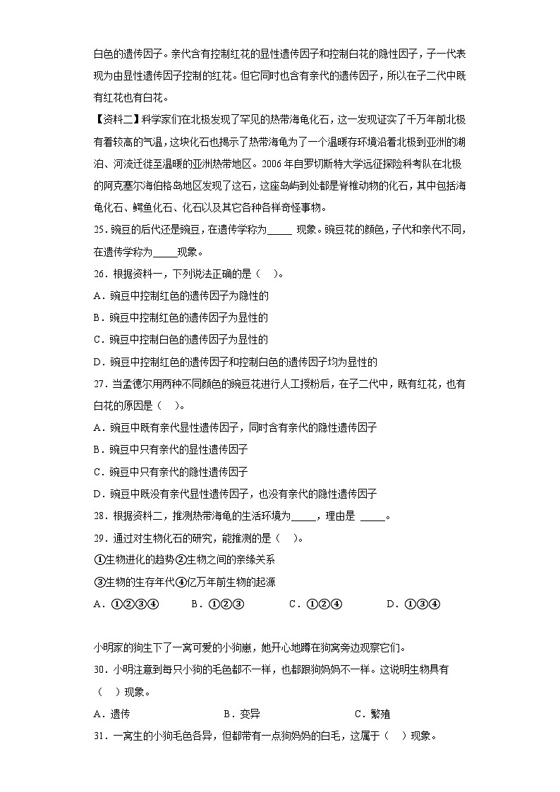 2023-2024教科版科学六年级下册2.5习题第3页