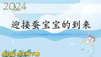 小学科学教科版 (2017)三年级下册1.迎接蚕宝宝的到来教学课件ppt
