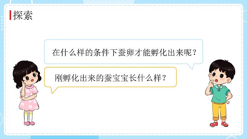 教科版科学三年级下册（2-1）迎接蚕宝宝的到来-教学课件第7页