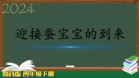 教科版 (2017)1.迎接蚕宝宝的到来教学课件ppt