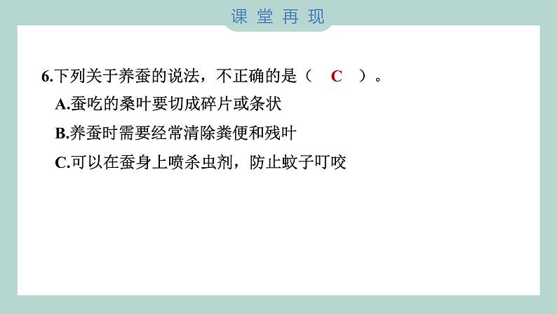 教科版科学三年级下册（2-1）迎接蚕宝宝的到来 习题6第7页