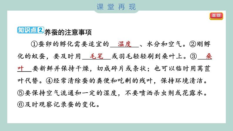 教科版科学三年级下册（2-1）迎接蚕宝宝的到来 习题6第4页